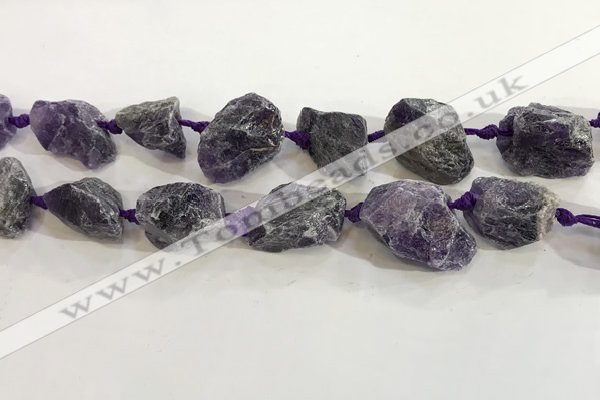 CNG3566 15.5 inches 18*20mm - 25*30mm nuggets rough amethyst beads