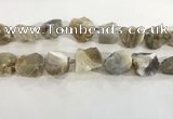 CNG3568 15.5 inches 18*20mm - 25*30mm nuggets rough agate beads