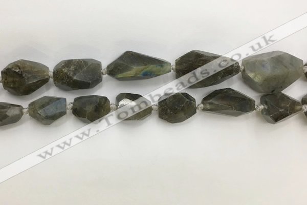 CNG3589 13*18mm - 15*30mm faceted nuggets labradorite beads