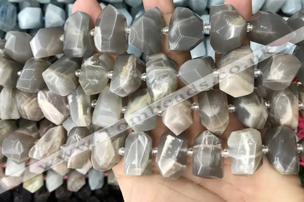 CNG3605 15.5 inches 13*20mm - 15*24mm faceted nuggets moonstone beads