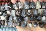 CNG3614 13*20mm - 15*24mm faceted nuggets Botswana agate beads