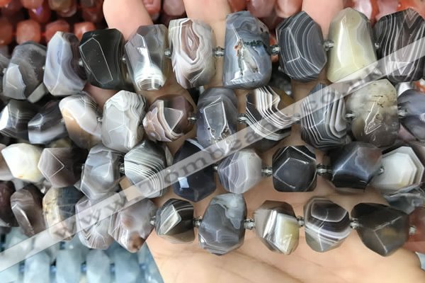 CNG3614 13*20mm - 15*24mm faceted nuggets Botswana agate beads