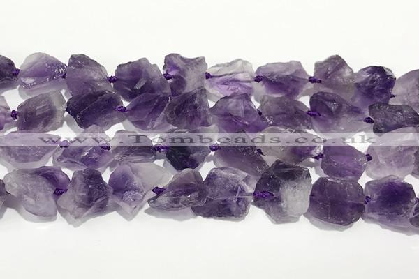 CNG3720 15.5 inches 10*14mm - 12*16mm nuggets rough amethyst beads