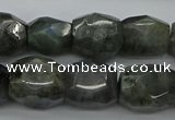 CNG5007 15.5 inches 10*14mm - 13*18mm faceted nuggets labradorite beads