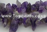 CNG5030 15.5 inches 4*8mm - 6*15mm nuggets amethyst beads