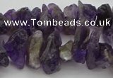 CNG5031 15.5 inches 6*15mm - 8*25mm nuggets amethyst beads