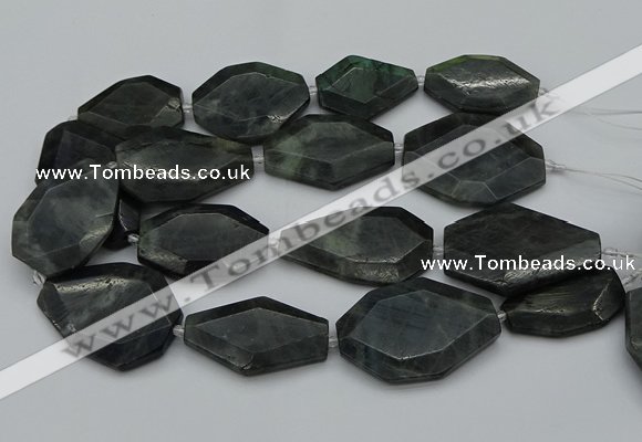 CNG5081 15.5 inches 20*30mm - 35*45mm freeform labradorite beads