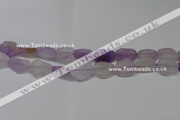 CNG5117 15.5 inches 14*20mm - 18*25mm freeform matte amethyst beads