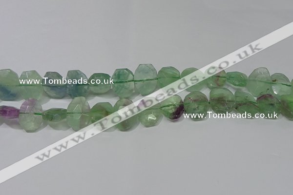 CNG5139 15.5 inches 15*18mm - 15*20mm faceted freeform fluorite beads