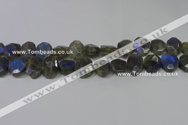 CNG5144 15.5 inches 15*18mm - 15*20mm faceted freeform labradorite beads