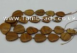 CNG5172 15.5 inches 16*22mm - 30*35mm freeform picture jasper beads