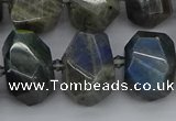 CNG5222 15.5 inches 12*16mm - 15*20mm faceted nuggets labradorite beads