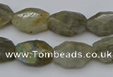 CNG5253 15.5 inches 13*18mm - 15*20mm faceted freeform labradorite beads