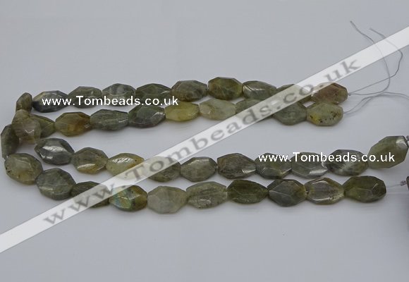 CNG5253 15.5 inches 13*18mm - 15*20mm faceted freeform labradorite beads