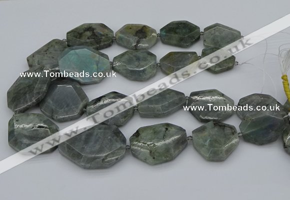 CNG5254 15.5 inches 22*30mm - 35*45mm faceted freeform labradorite beads