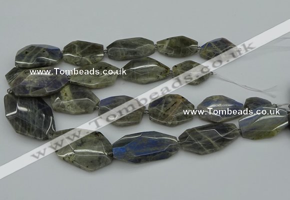 CNG5255 15.5 inches 22*30mm - 35*45mm faceted freeform labradorite beads