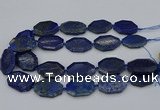 CNG5258 15.5 inches 20*30mm - 25*35mm faceted freeform lapis lzuli beads