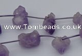 CNG5260 15.5 inches 5*8mm - 15*20mm nuggets amethyst beads