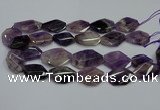 CNG5264 20*30mm - 22*35mm faceted freeform dogtooth amethyst beads