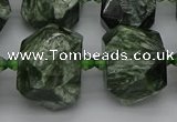 CNG5278 15.5 inches 13*18mm - 15*25mm faceted nuggets seraphinite beads