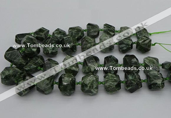 CNG5278 15.5 inches 13*18mm - 15*25mm faceted nuggets seraphinite beads