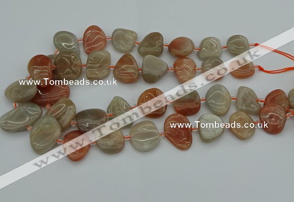 CNG5290 15.5 inches 13*18mm - 15*20mm freeform moonstone beads