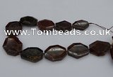 CNG5313 15.5 inches 20*30mm - 35*45mm freeform orange garnet beads