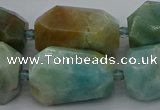 CNG5341 15.5 inches 13*18mm - 18*30mm faceted nuggets amazonite beads