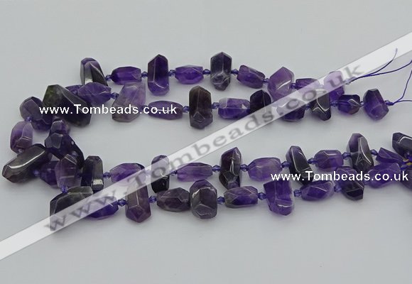 CNG5370 15.5 inches 10*15mm - 15*25mm faceted nuggets amethyst beads