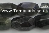 CNG5389 15.5 inches 12*16mm - 15*25mm faceted nuggets labradorite beads