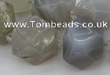 CNG5391 15.5 inches 10*14mm - 20*25mm faceted nuggets agate beads