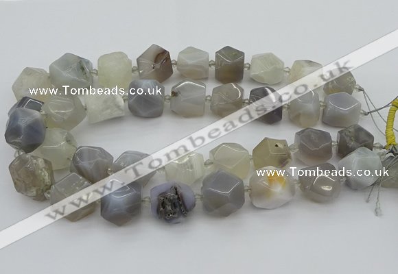 CNG5391 15.5 inches 10*14mm - 20*25mm faceted nuggets agate beads