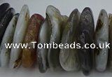 CNG5432 5*20mm - 8*25mm nuggets botswana agate gemstone beads