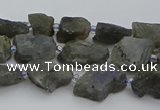 CNG5527 15.5 inches 6*8mm - 10*15mm nuggets labradorite beads