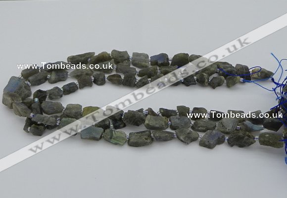 CNG5527 15.5 inches 6*8mm - 10*15mm nuggets labradorite beads