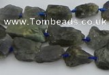 CNG5528 15.5 inches 10*14mm - 15*20mm nuggets labradorite beads