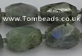 CNG5586 12*16mm - 15*25mm faceted nuggets labradorite beads