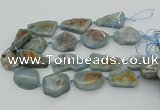 CNG5673 15.5 inches 25*35mm - 30*40mm freeform aquamarine beads