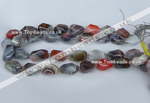 CNG5681 12*16mm - 15*25mm faceted nuggets botswana agate beads