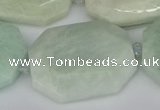 CNG5691 15.5 inches 20*30mm - 35*45mm faceted freeform amazonite beads