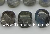 CNG5722 15.5 inches 12*16mm - 15*20mm faceted freeform labradorite beads