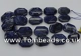 CNG5765 15.5 inches 20*30mm - 35*45mm faceted freeform sodalite beads