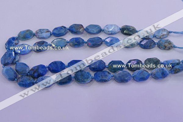 CNG5787 10*14mm - 12*16mm faceted freeform apatite beads