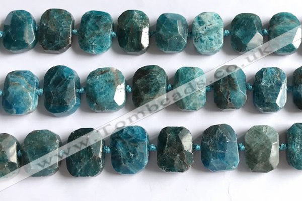 CNG5789 15.5 inches 13*18mm - 15*20mm faceted freeform apatite beads