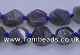 CNG5790 10*12mm - 10*14mm faceted freeform labradorite beads