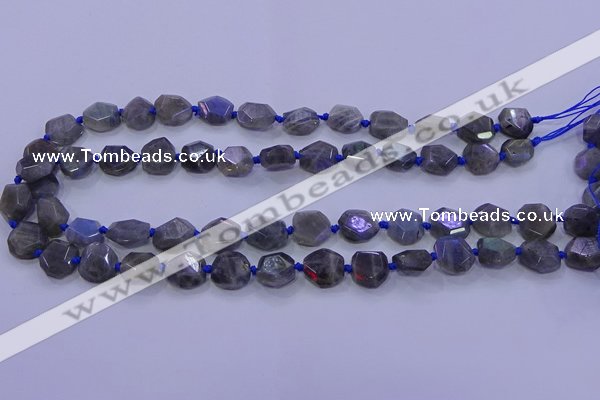 CNG5790 10*12mm - 10*14mm faceted freeform labradorite beads