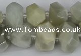 CNG5832 15.5 inches 12*16mm - 15*20mm faceted nuggets moonstone beads