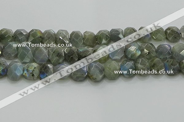 CNG5874 15.5 inches 8*12mm - 12*16mm faceted freeform labradorite beads