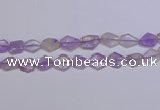 CNG6326 15.5 inches 14*18mm - 16*22mm freeform amethyst beads