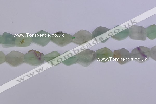 CNG6361 15.5 inches 14*18mm - 16*22mm freeform matte fluorite beads